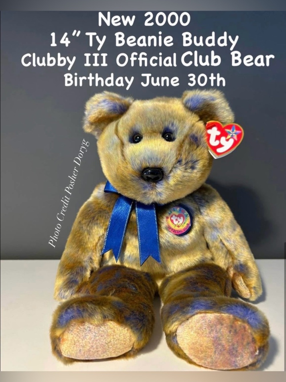 Vintage 1996 Ty Clubby III Plush Bear with Blue Ribbon